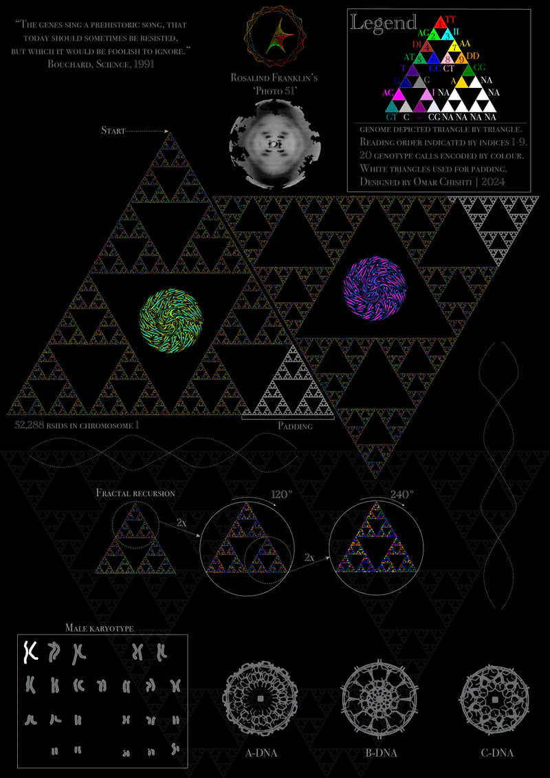 DNA Fractal visualisation