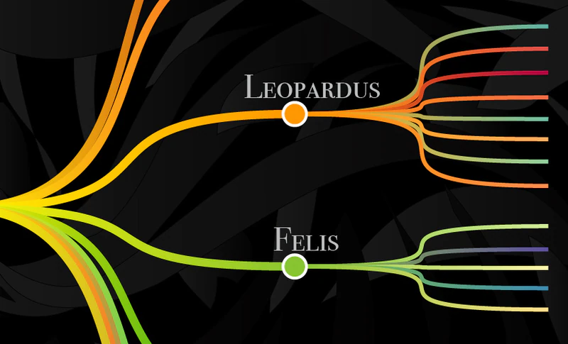 Close-up of dendrogram branches with linear gradient fill transitioning from genus to species colours