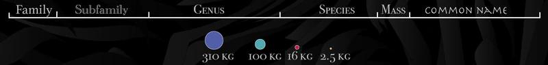 Legend showing technical nomenclature