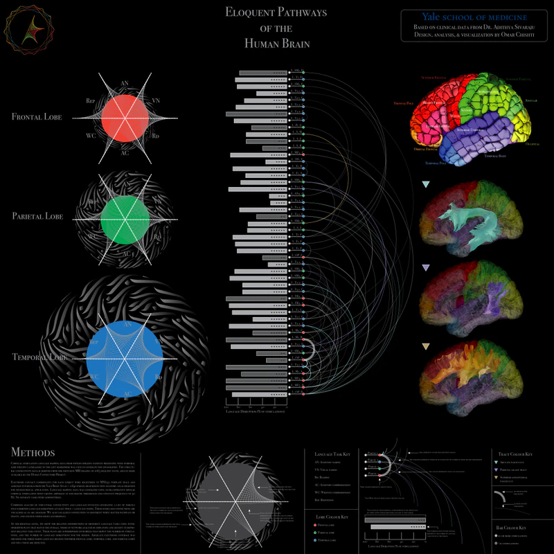 Language Network Visualization